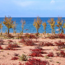 Lac Issyk Kul Tosor